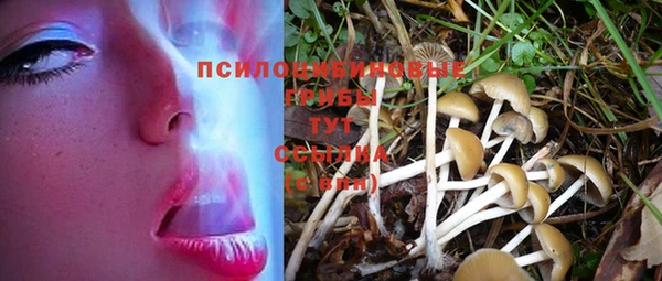кокаин колумбия Абаза